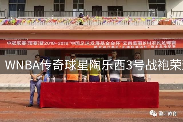 WNBA传奇球星陶乐西3号战袍荣耀退役 高悬水星主场上空